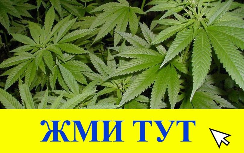 Купить наркотики в Тихвине